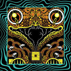 Acoustic Gizzard Vol. II - Live in San Diego '24 (3L | LEVITATION
