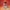 Alice Coltrane - Journey in Satchidananda (Orange Vinyl) - LEVITATION