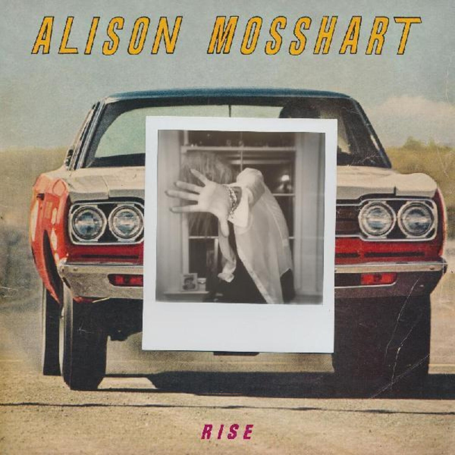 Alison Mosshart - Rise - LEVITATION