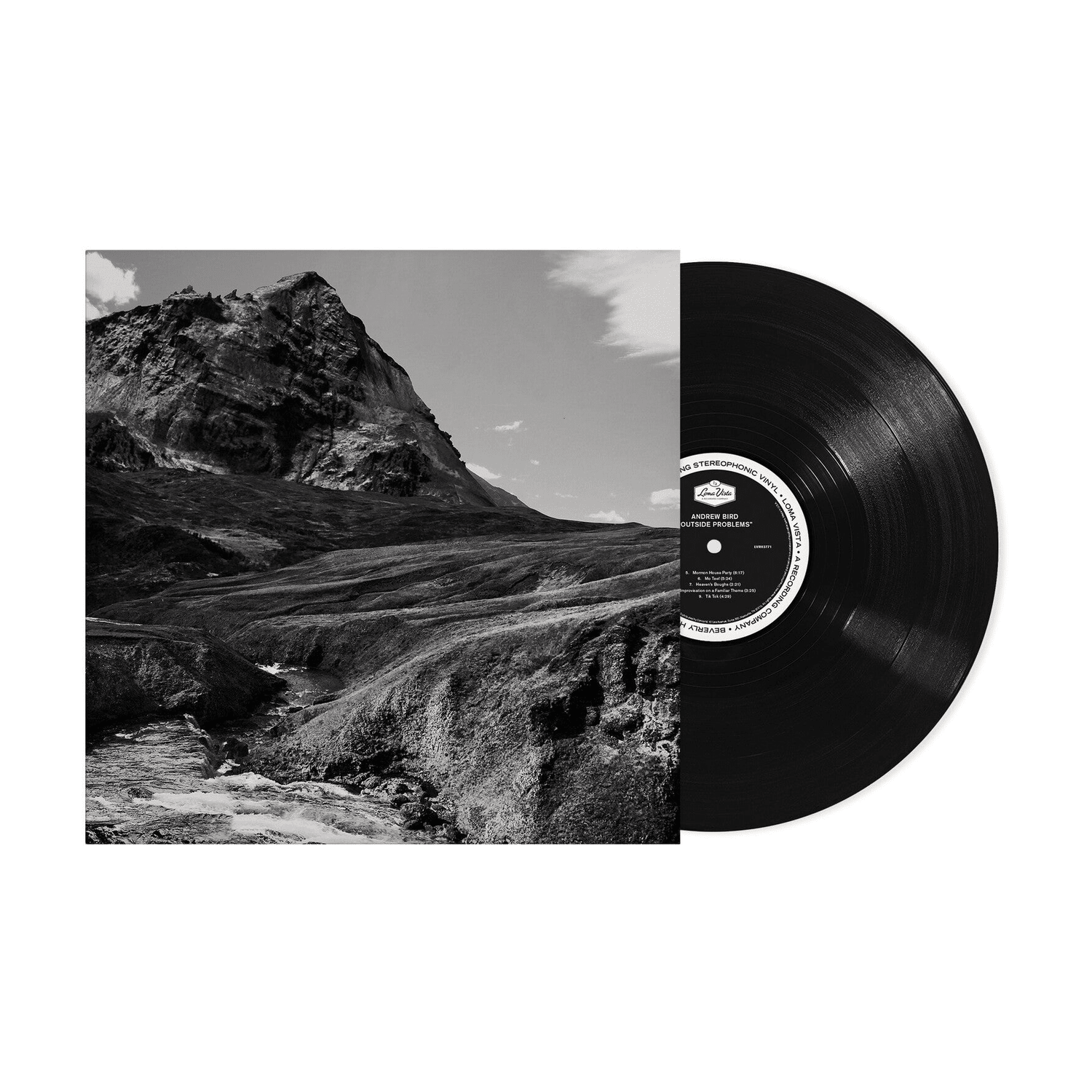 Andrew Bird - Outside Problems - LEVITATION