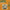 Andrew Gabbard - Homemade (Green Vinyl) - LEVITATION