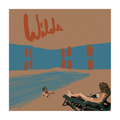 Andy Shauf - Wilds
