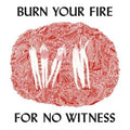 Angel Olsen - Burn Your Fire for NO Witness