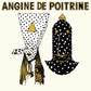 Angine de Poitrine - Vol. I - LEVITATION