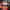 Animal Collective - Centipede Hz - LEVITATION