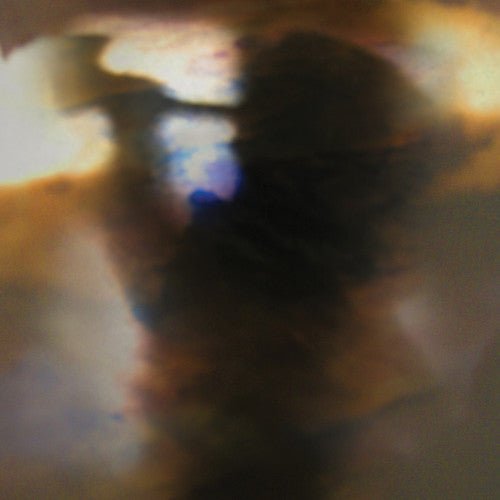 Animal Collective - Fall Be Kind - LEVITATION