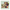 Animal Collective - Feels 2xLP (Clear Vinyl) - LEVITATION