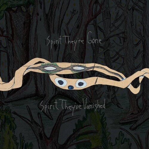 Animal Collective - Spirit They're Gone Spirit They've Vanished - LEVITATION
