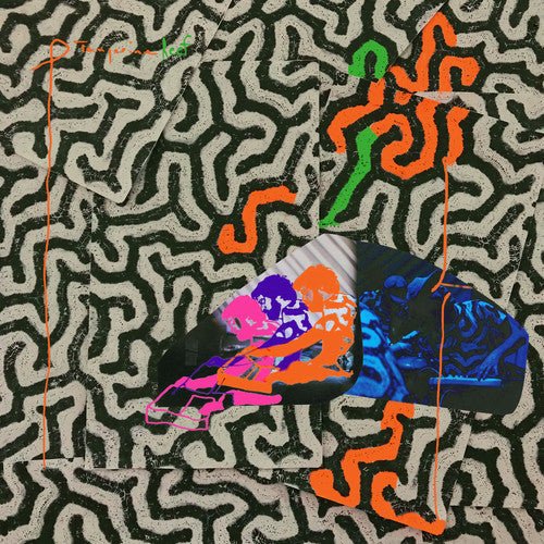 Animal Collective - Tangerine Reef - LEVITATION