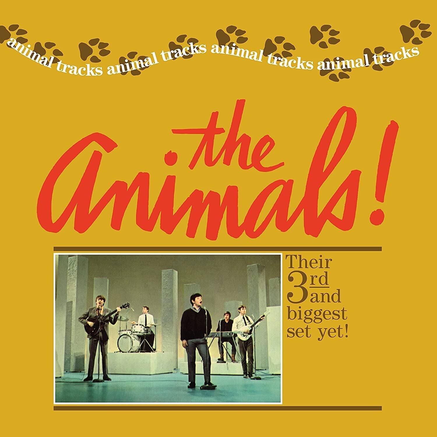 Animals - Animal Tracks - LEVITATION