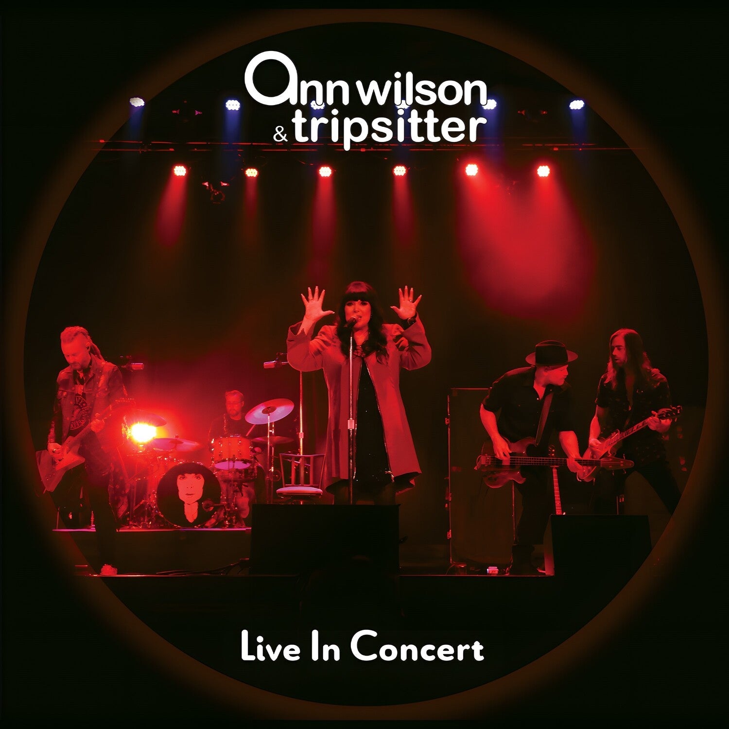 Ann Wilson & Tripsitter - Live in Concert - LEVITATION
