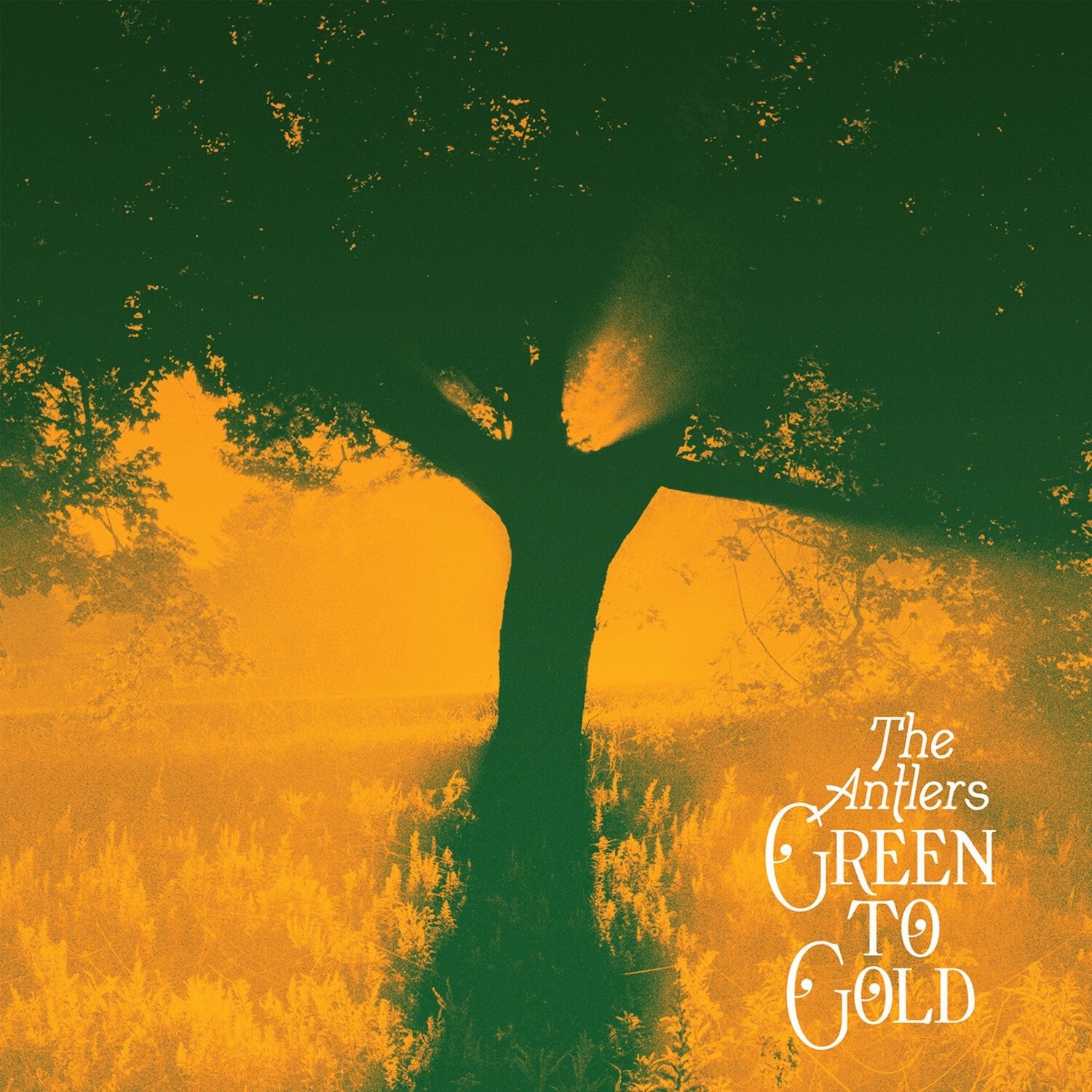 Antlers - Green to Gold (Cd) - LEVITATION