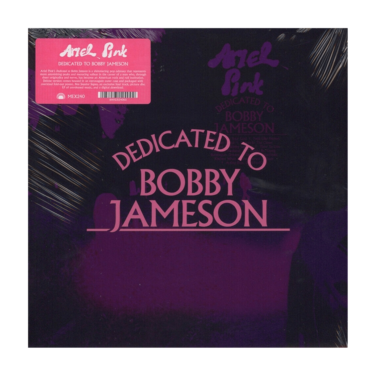 Ariel Pink - Dedicated to Bobby Jameson - LEVITATION