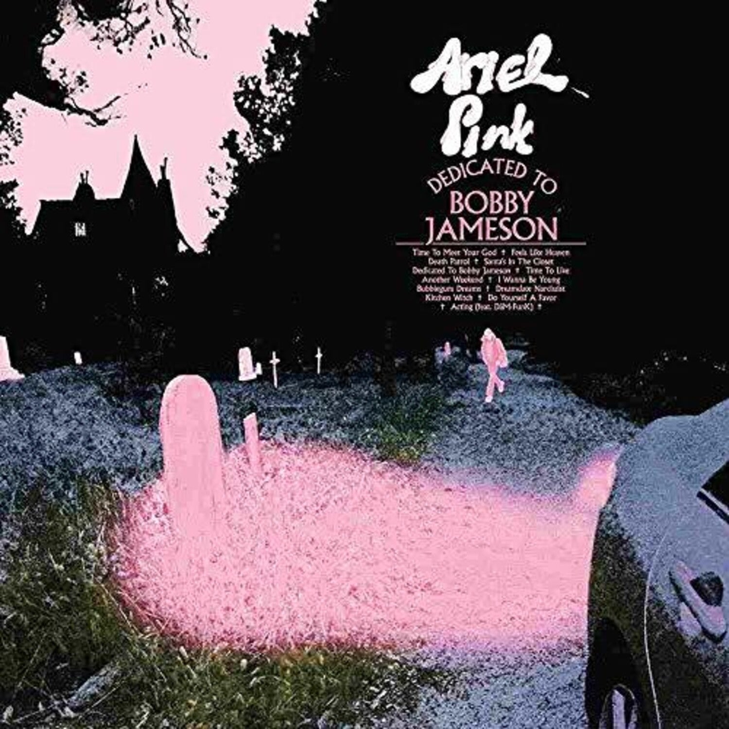 Ariel Pink - Dedicated to Bobby Jameson (Cd) - LEVITATION