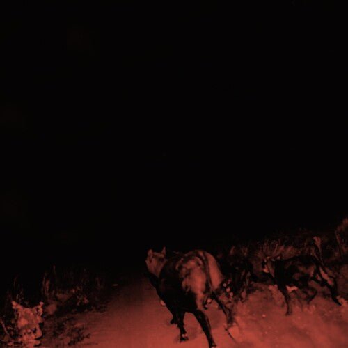 Bambara - Shadow on Everything - LEVITATION