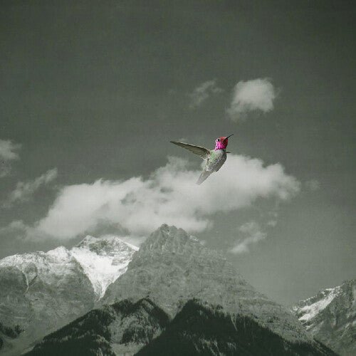 Bardo Pond - Melt Away - LEVITATION