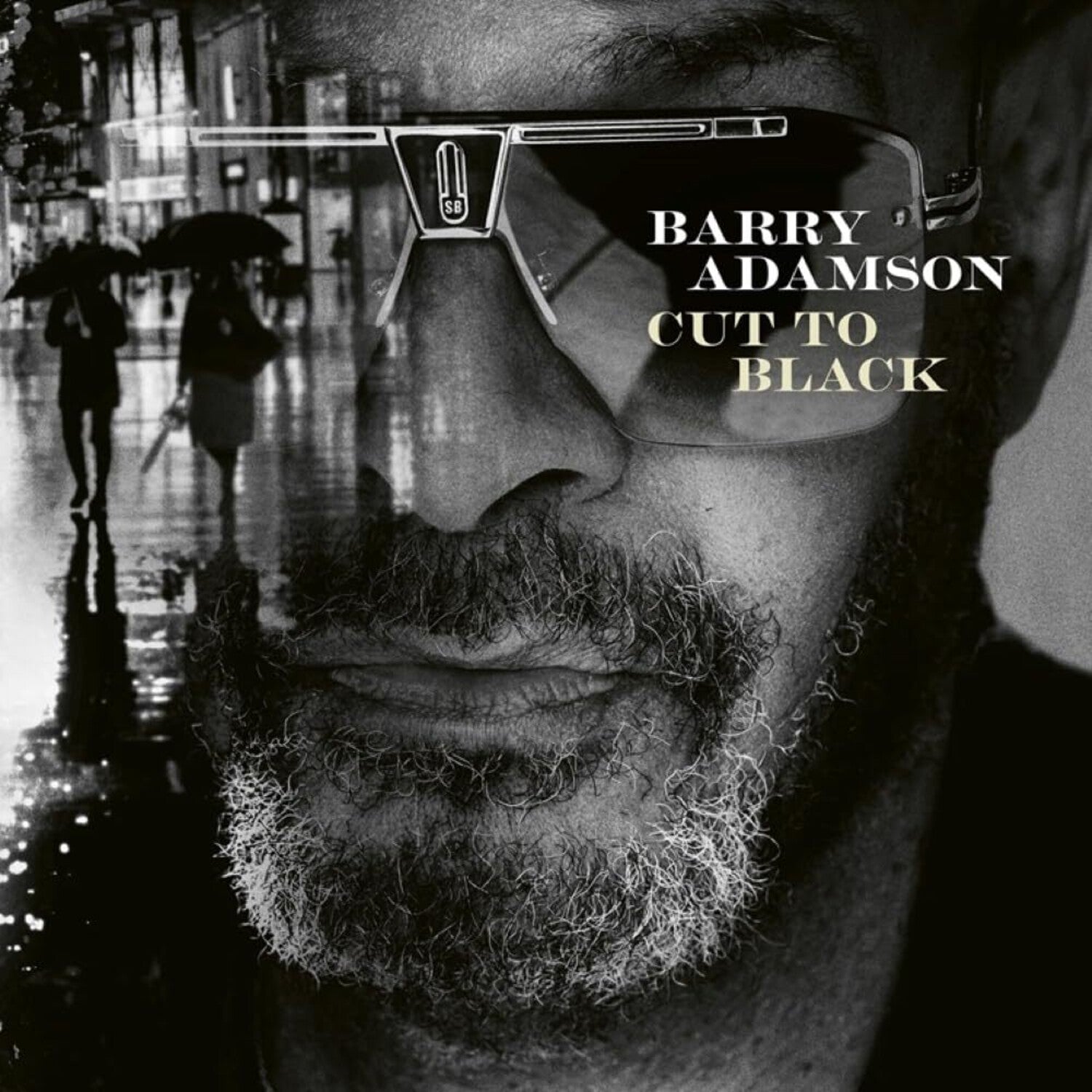Barry Adamson - Cut to Black - LEVITATION