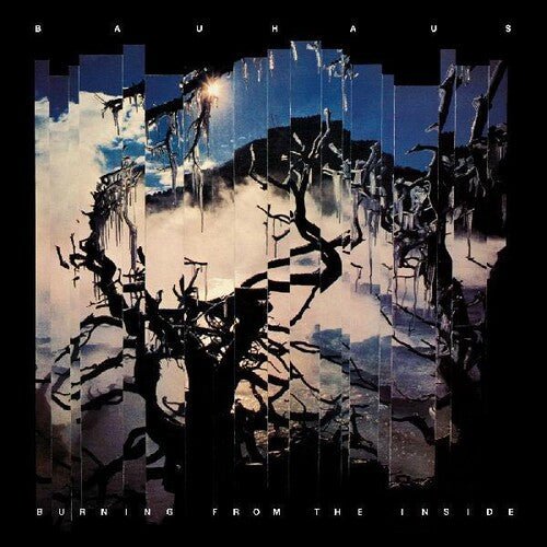 Bauhaus - Burning from the Inside - LEVITATION