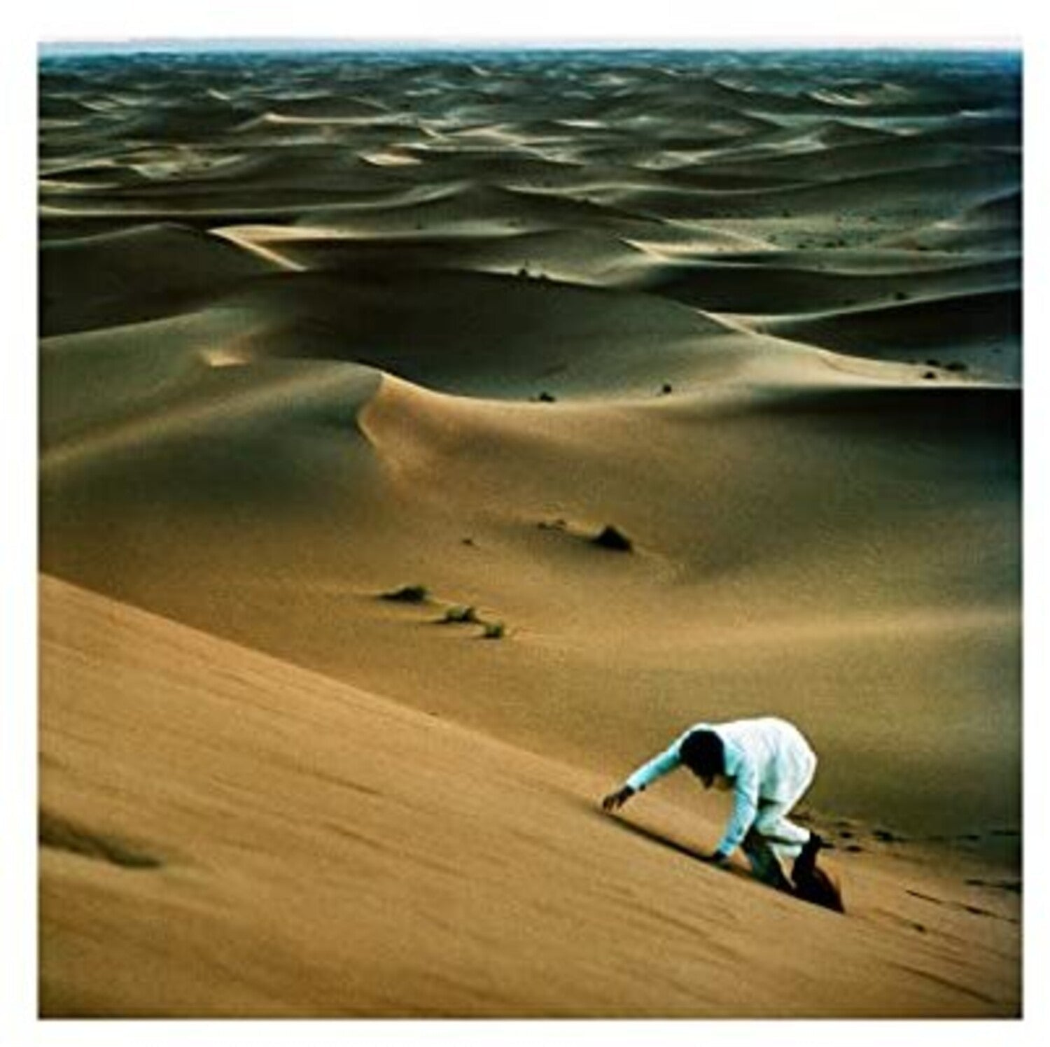 Baxter Dury - Prince of Tears - LEVITATION