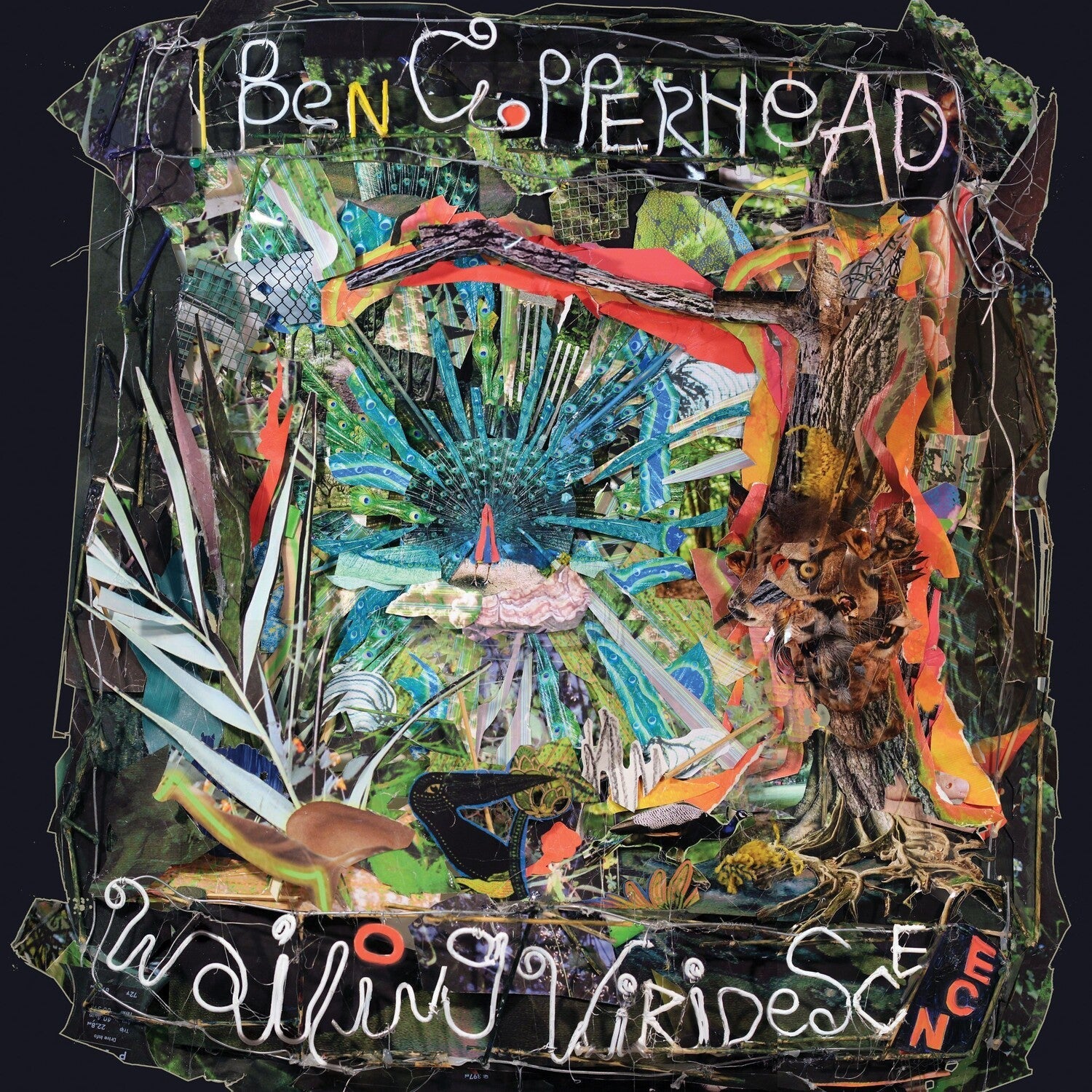 Ben Copperhead - Wailing Viridescence - LEVITATION