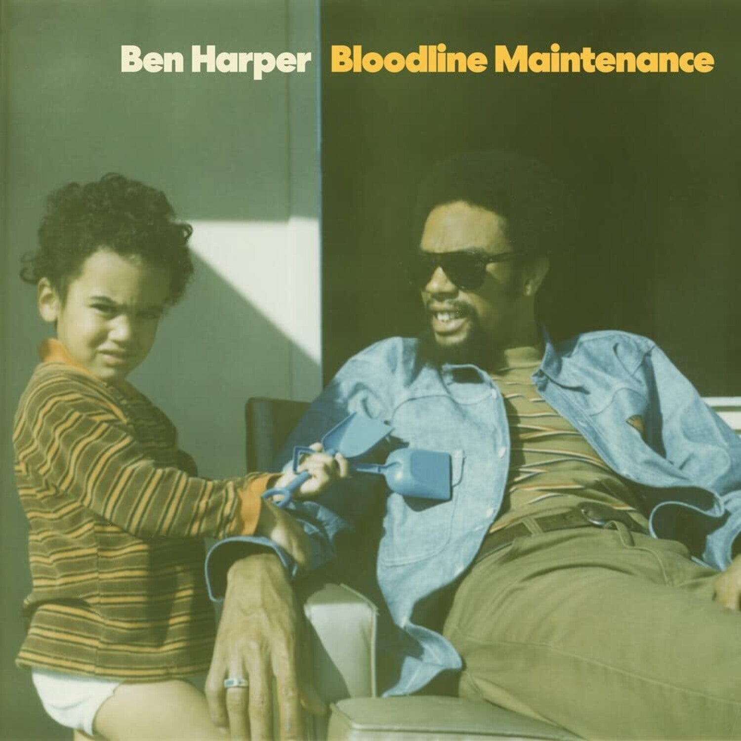 Ben Harper - Bloodline Maintenance - LEVITATION