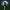 Benjamin Booker - Witness - LEVITATION