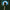 Benjamin Booker - Witness (CD) - LEVITATION
