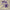 Bevis Frond - Inner Marshland (Purple Vinyl) - LEVITATION