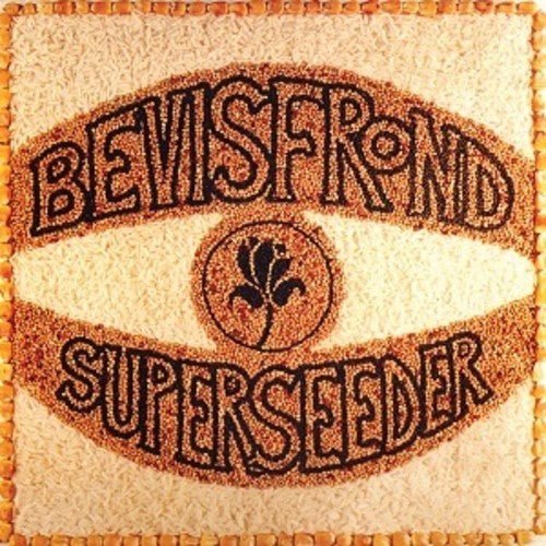 Bevis Frond - Superseeder 2xLP - LEVITATION
