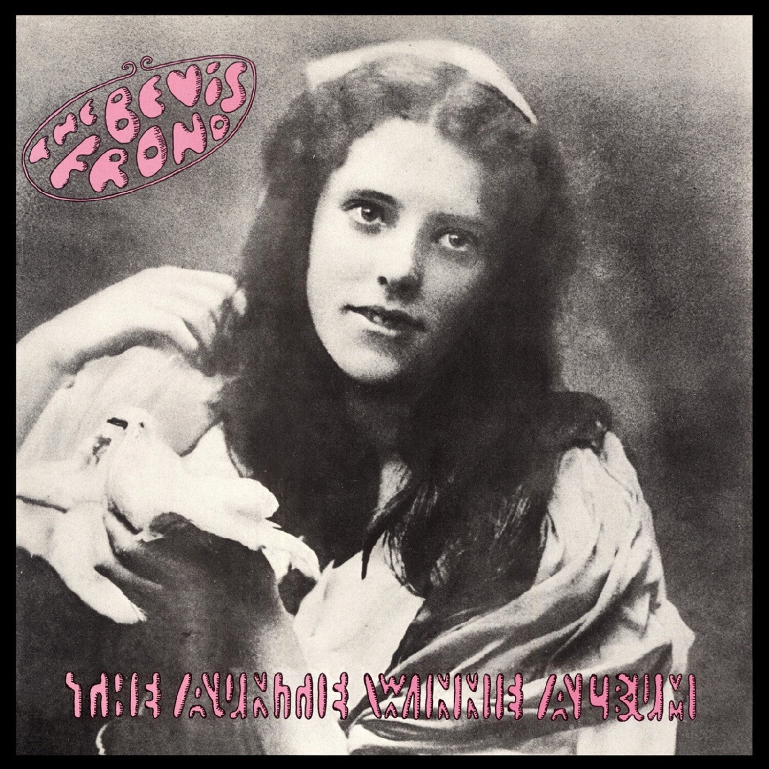 Bevis Frond - The Auntie Winnie Album 2xLP (Pink Vinyl) - LEVITATION