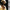 Big Daddy Kane - Very Best of Big Daddy Kane (Cd) - LEVITATION