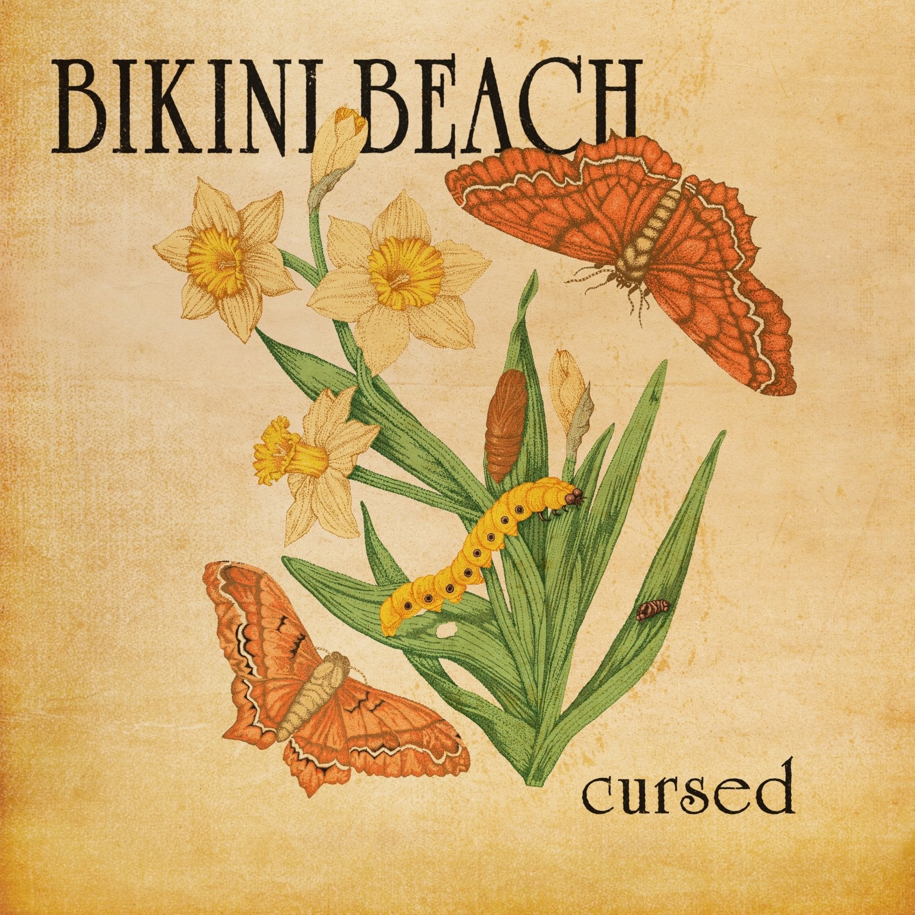 Bikini Beach - Cursed (PRE - ORDER) - LEVITATION