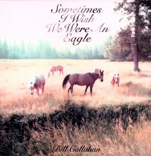 Bill Callahan - Sometimes I Wish We Were an Eagle - LEVITATION
