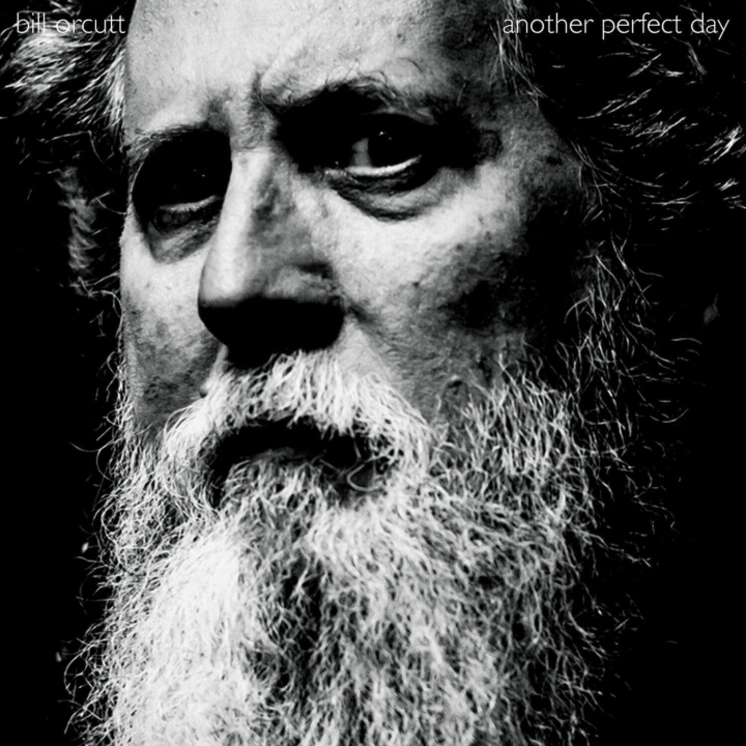 Bill Orcutt - Another Perfect Day - LEVITATION