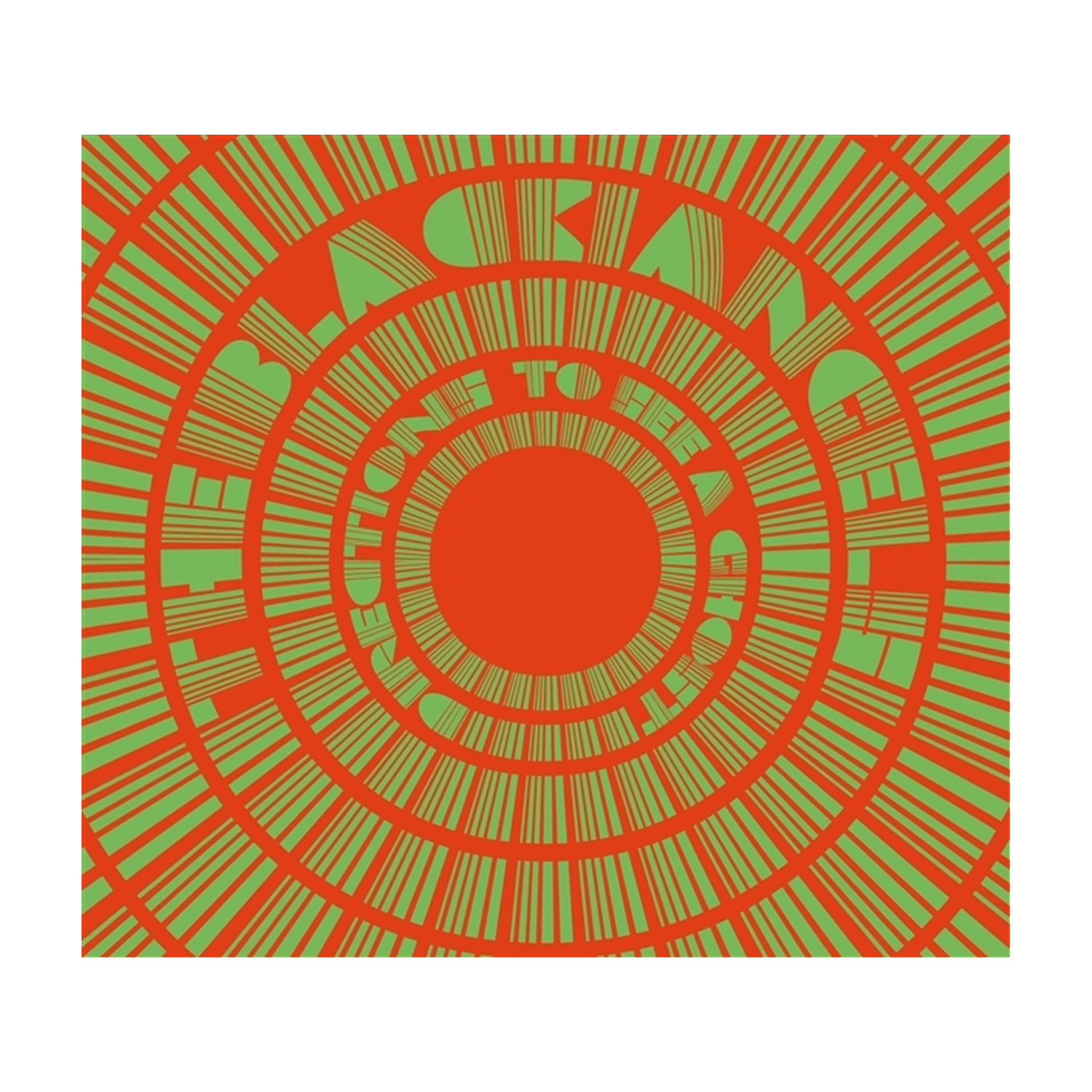 Black Angels - Directions to See a Ghost 3xLP - LEVITATION