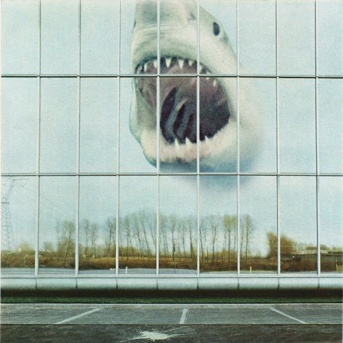 Black Mountain - Wilderness Heart - LEVITATION