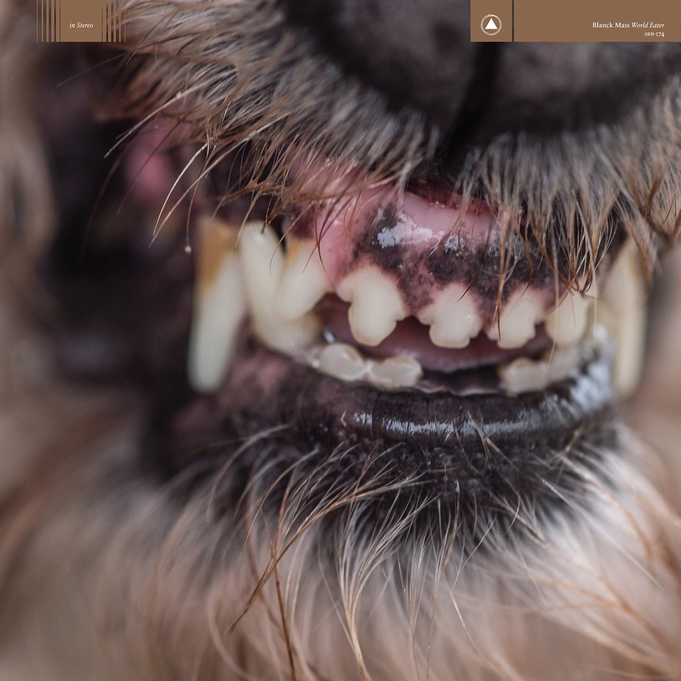 Blanck Mass - World Eater (Cd) - LEVITATION