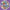 Bluebells - Sisters 2xLP (Expanded) - LEVITATION