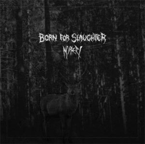 Born for Slaughter / Myteri - LEVITATION