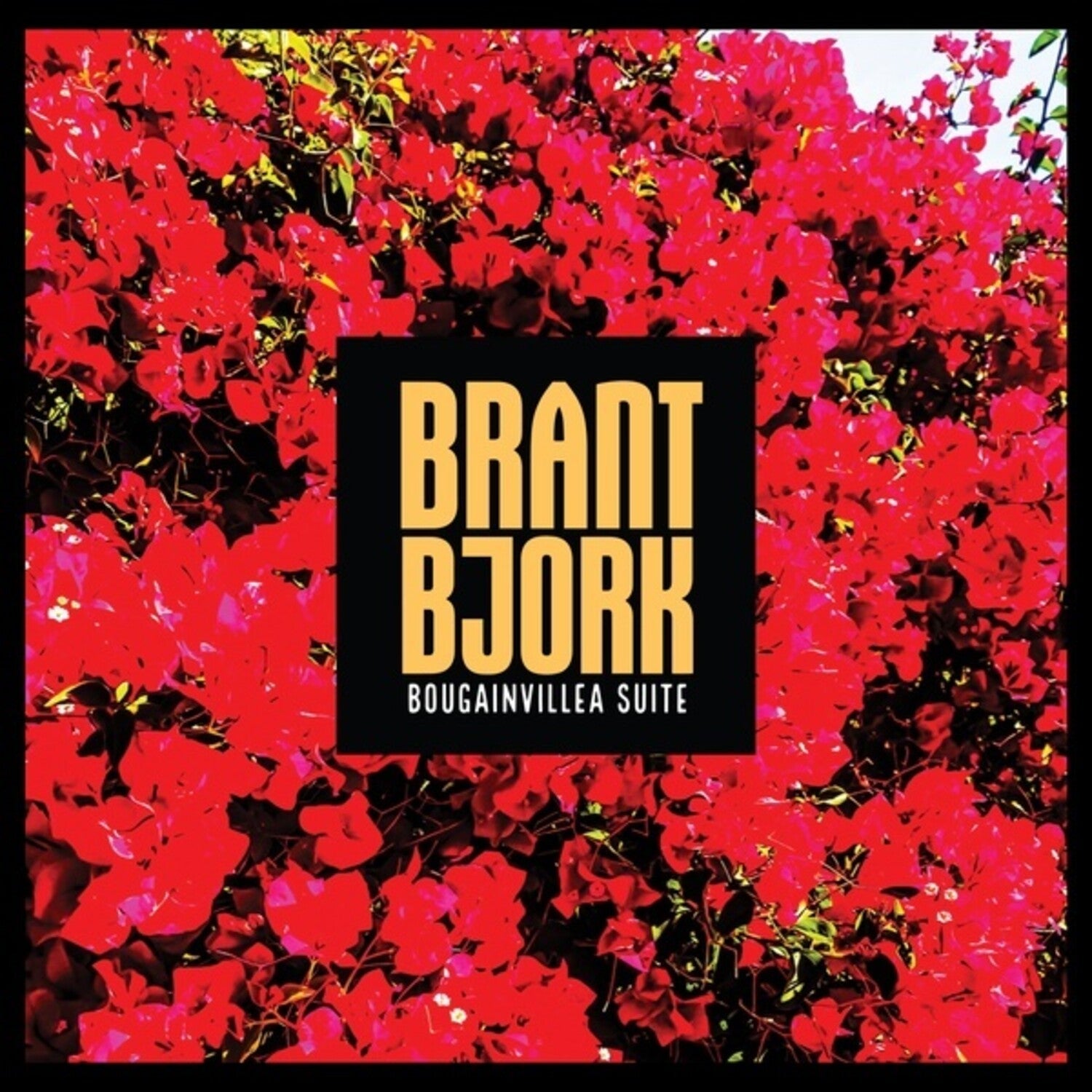 Brant Bjork - Bougainvillea Suite - LEVITATION