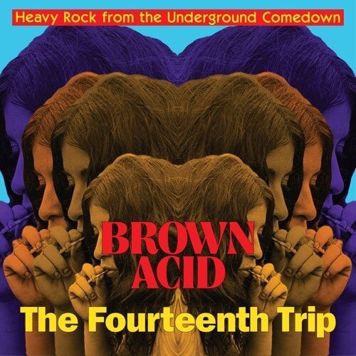 Brown Acid - Fourteenth Trip / Various Artists - Brown Acid - Fourteenth Trip (Various Artists) - LEVITATION