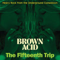 Brown Acid - The Fifteenth Trip (Various Artists)