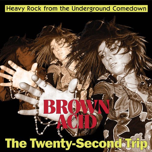 Brown Acid - Twenty - Second Trip / Various - Brown Acid - Twenty - Second Trip / Various - LEVITATION
