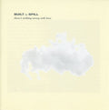 Built To Spill - There's Nothing Wrong with Love (Cd)