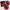 Burton Cummings - Massey Hall 2xLP (Red Vinyl) - LEVITATION