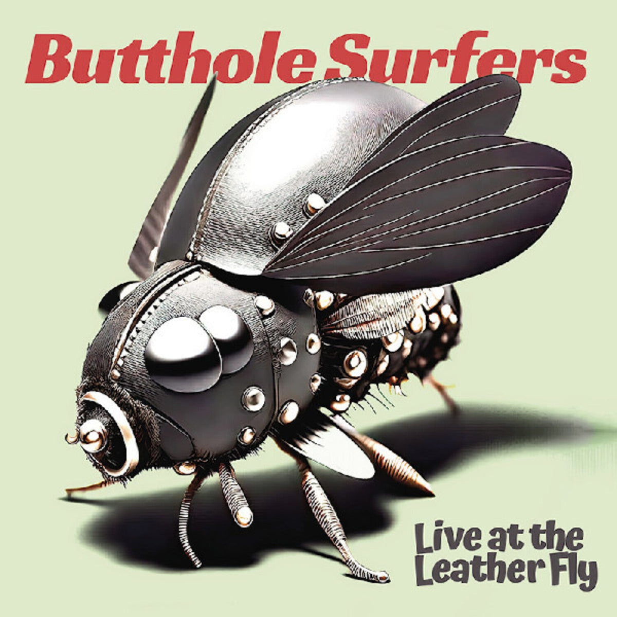 Butthole Surfers - Live at the Leather Fly (CD) - LEVITATION