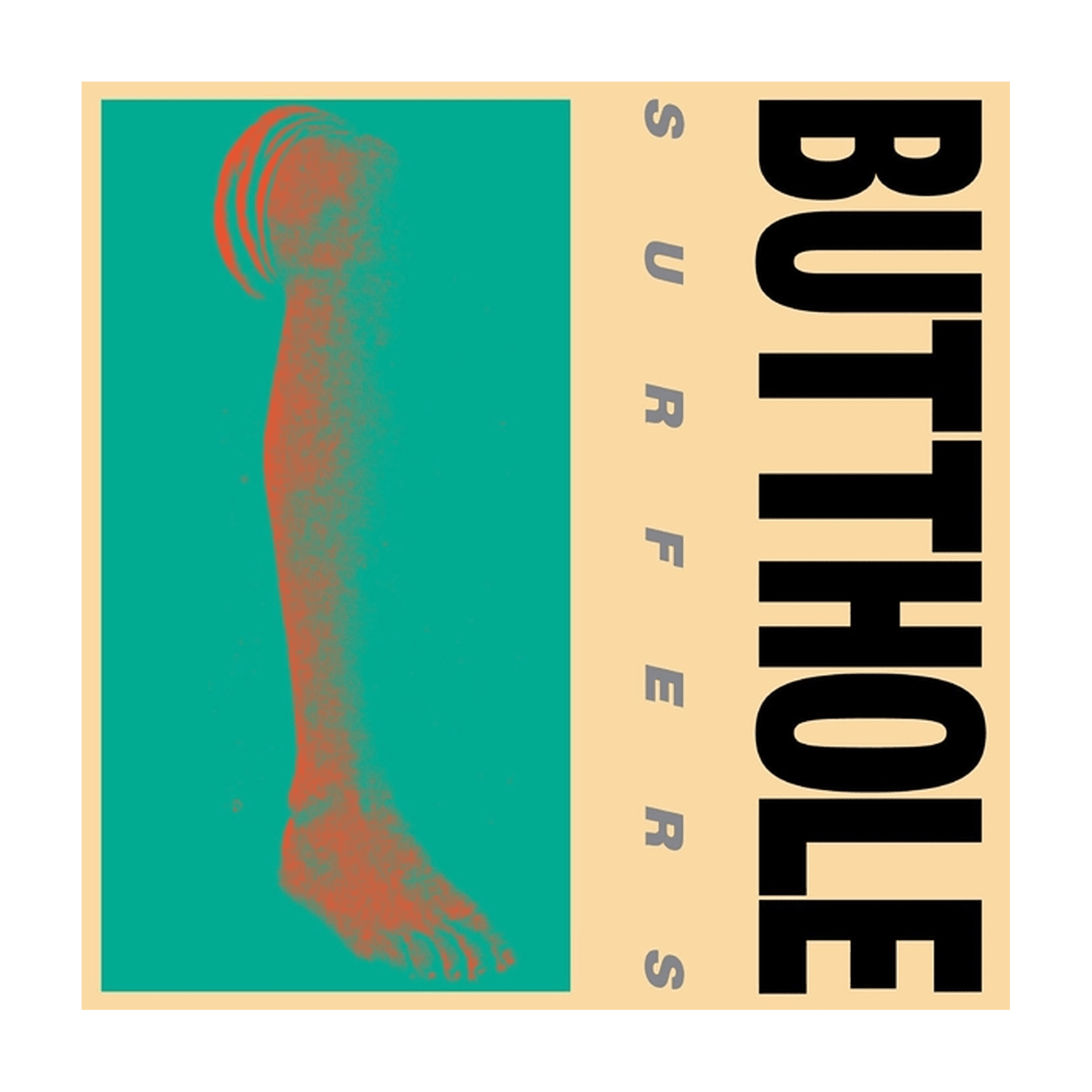 Butthole Surfers - Rembrandt Pussyhorse - LEVITATION