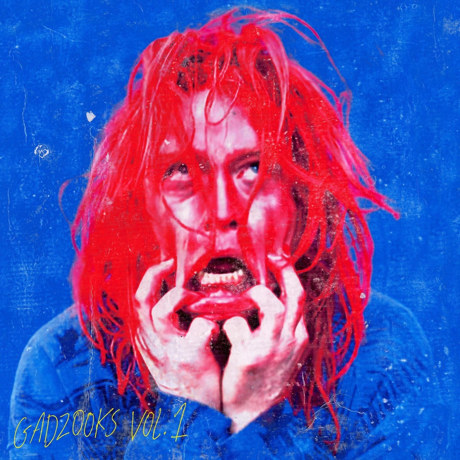 Caleb Landry Jones - Gadzooks Vol. 1 - LEVITATION