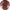 Cannibal Corpse - Gallery of Suicide - Picture Disc - LEVITATION