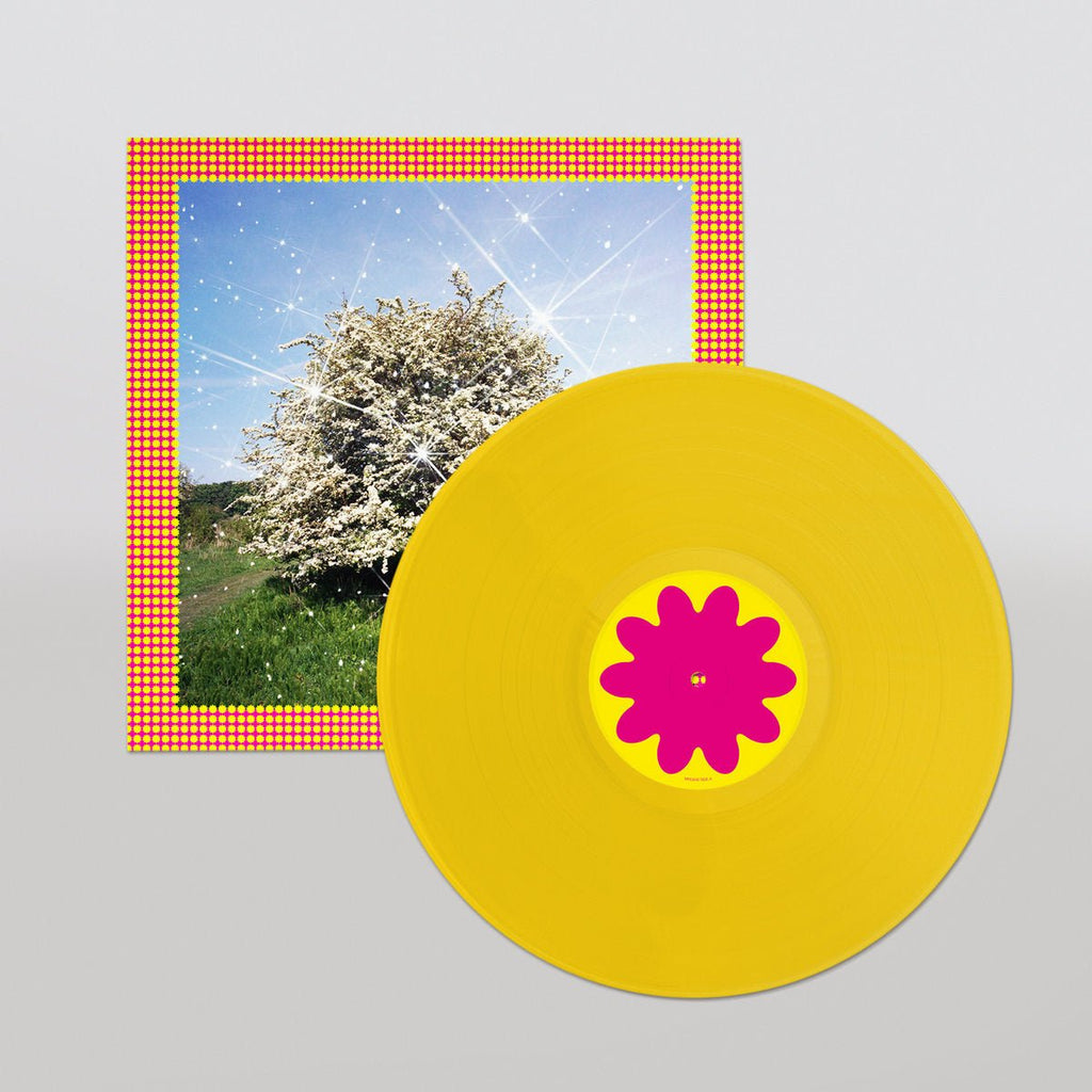 Caribou - Honey | City Slang (SLANG50570LP)